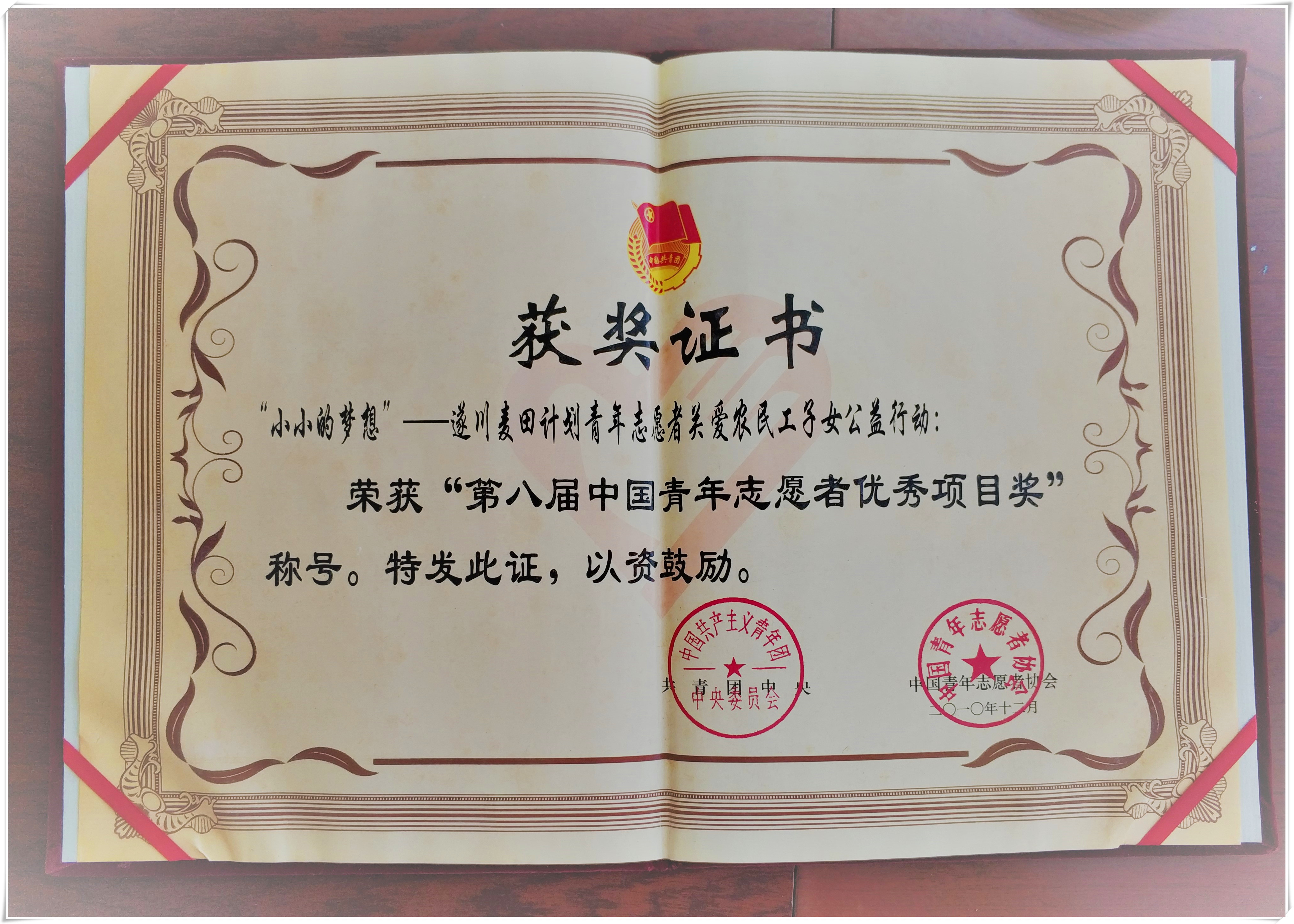 中国青年志愿者优秀项目奖(图1)