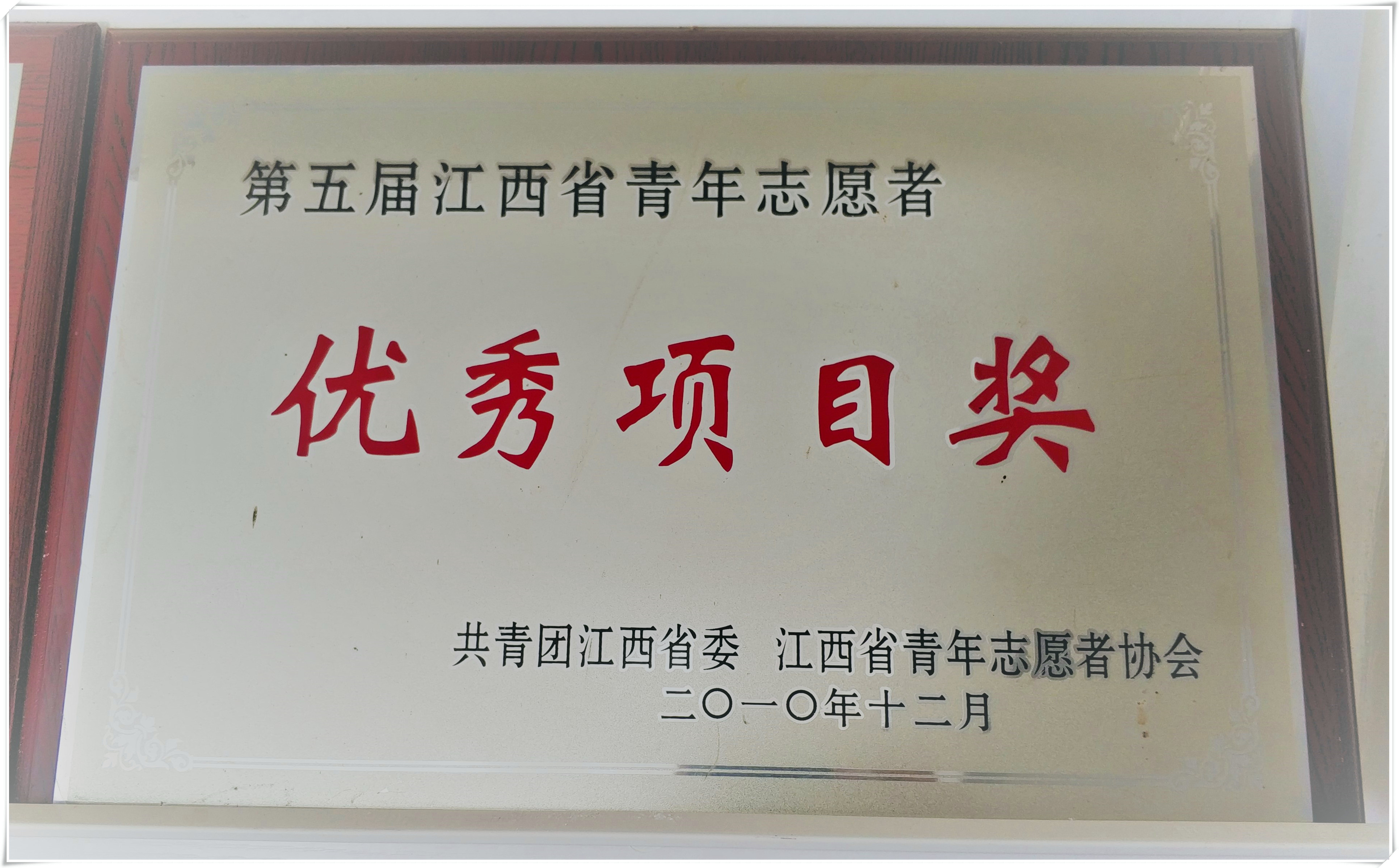 江西省青年志愿者优秀项目奖