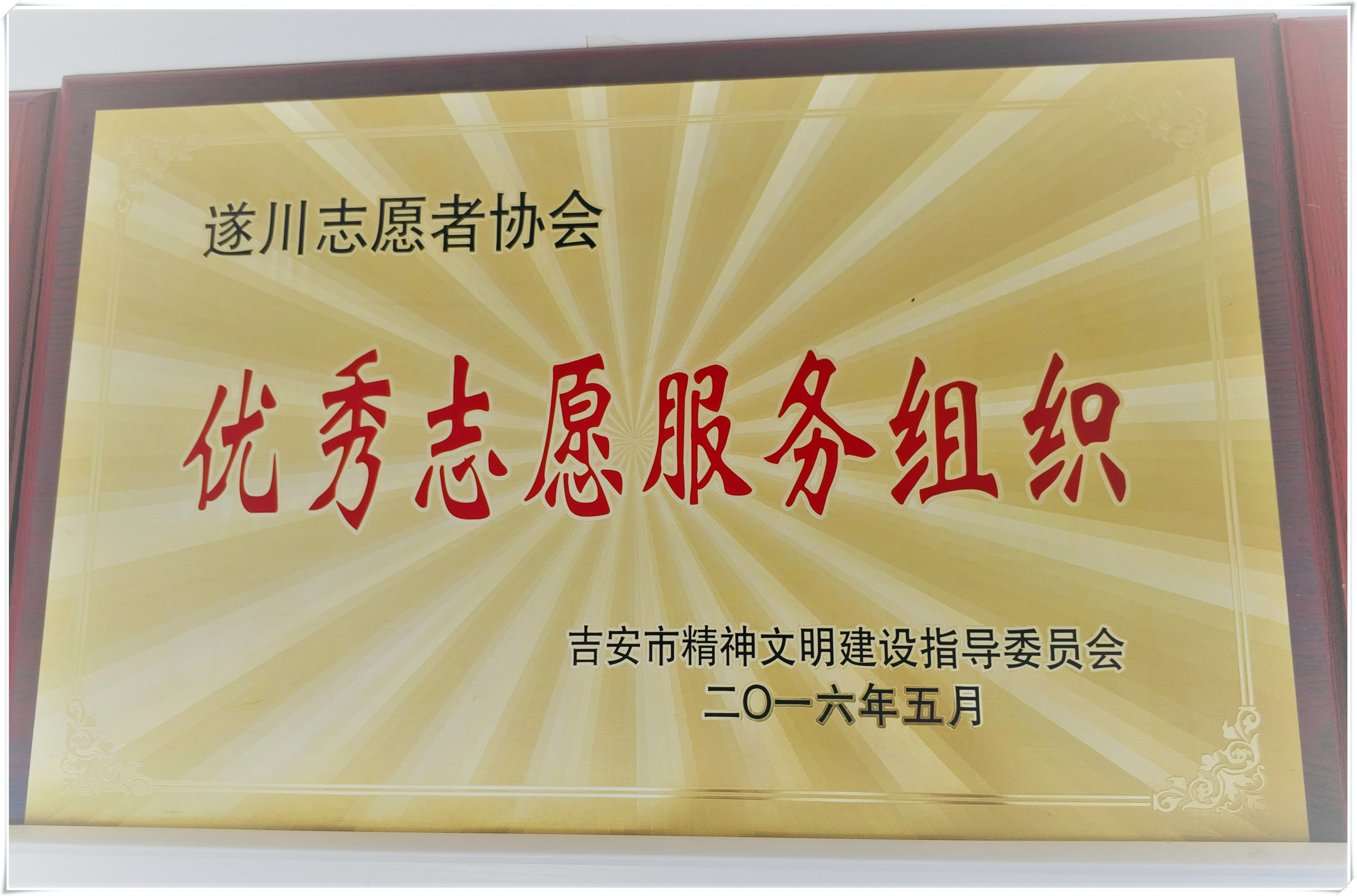 吉安市优秀志愿服务组织奖牌