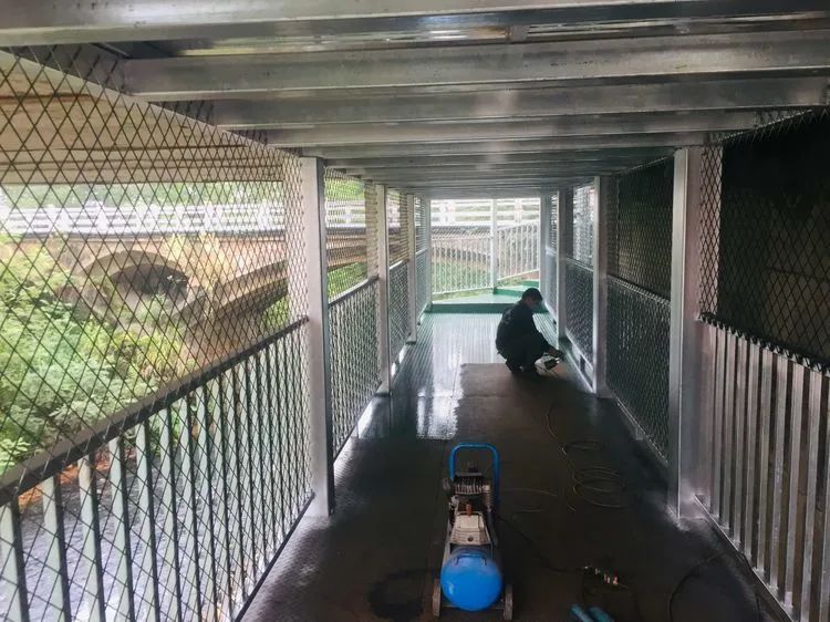 好消息！这是一条打通学生安全的爱心通道(图9)